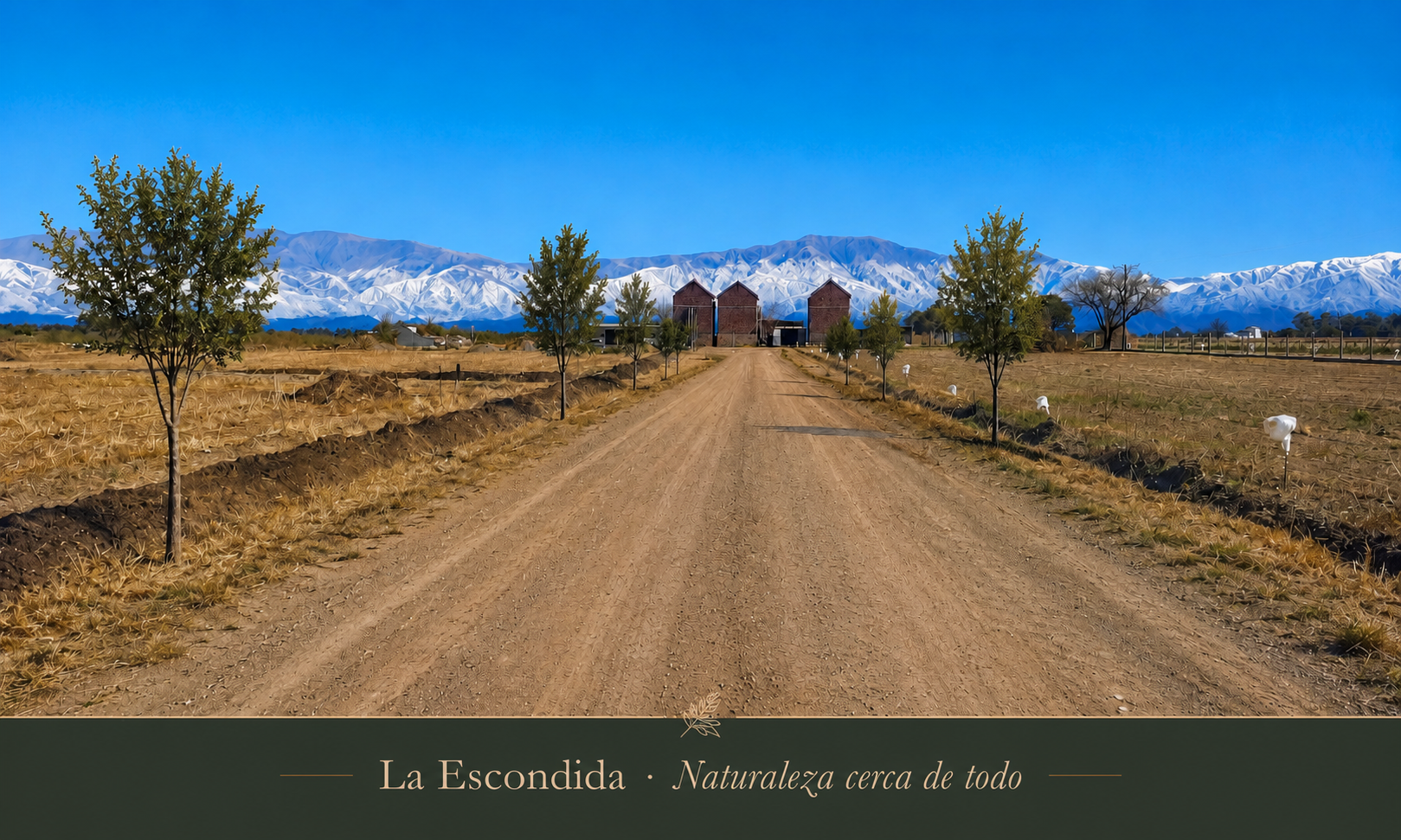 Camino interno de La Escondida con los cerros al fondo